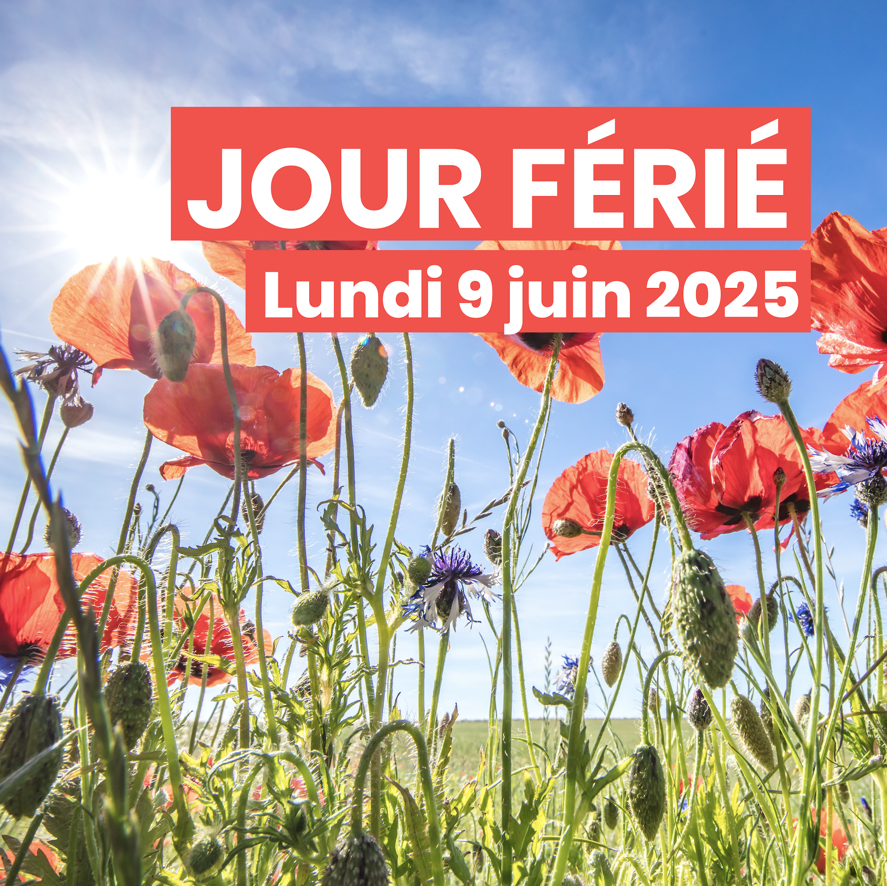 Jour Férié – Lundi 9 juin 2025