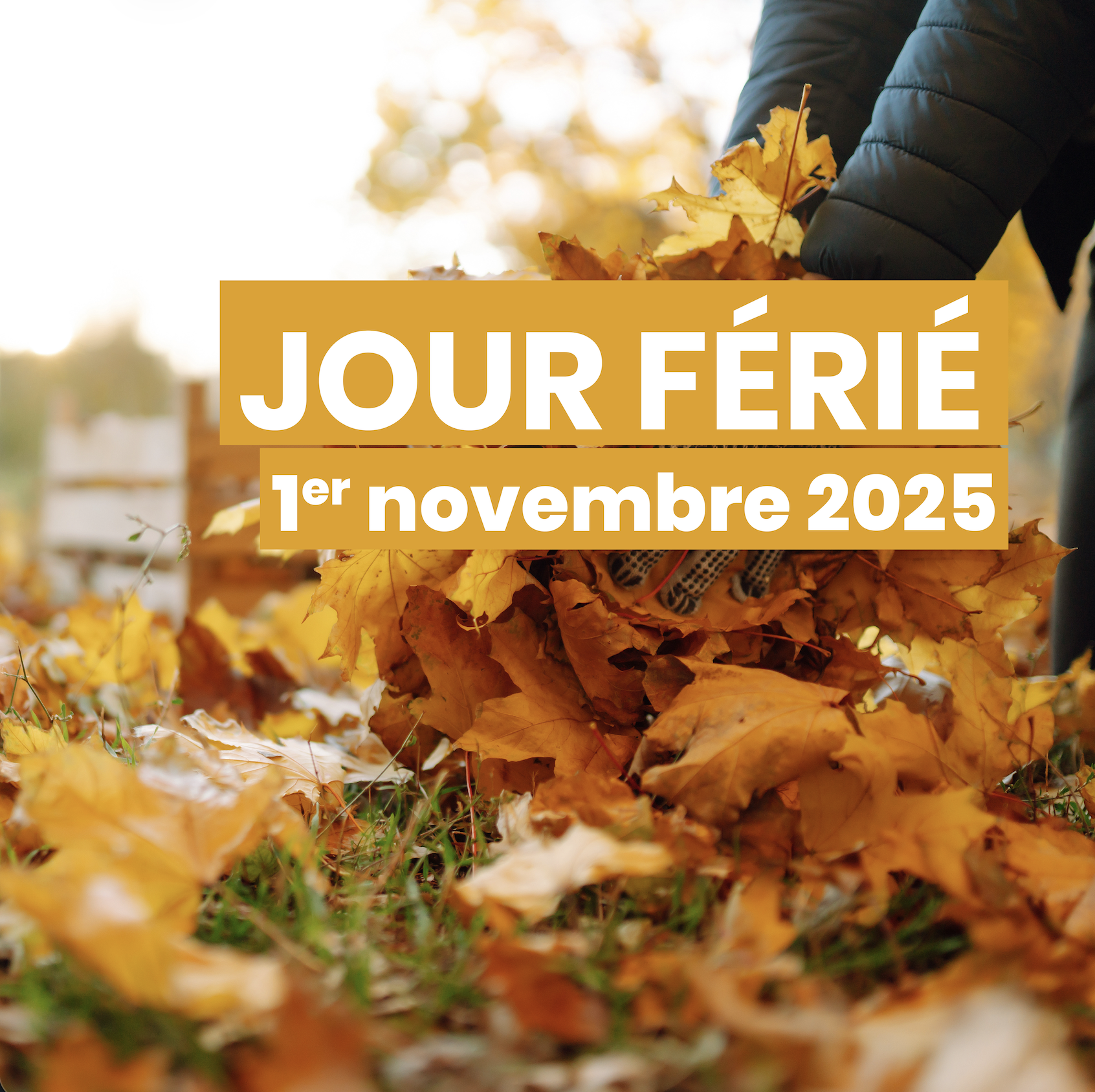 Jour Férié – Samedi 1er novembre 2025