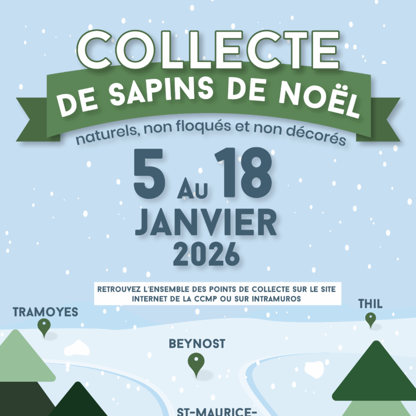Collecte des sapins de Noël sur le territoire !
