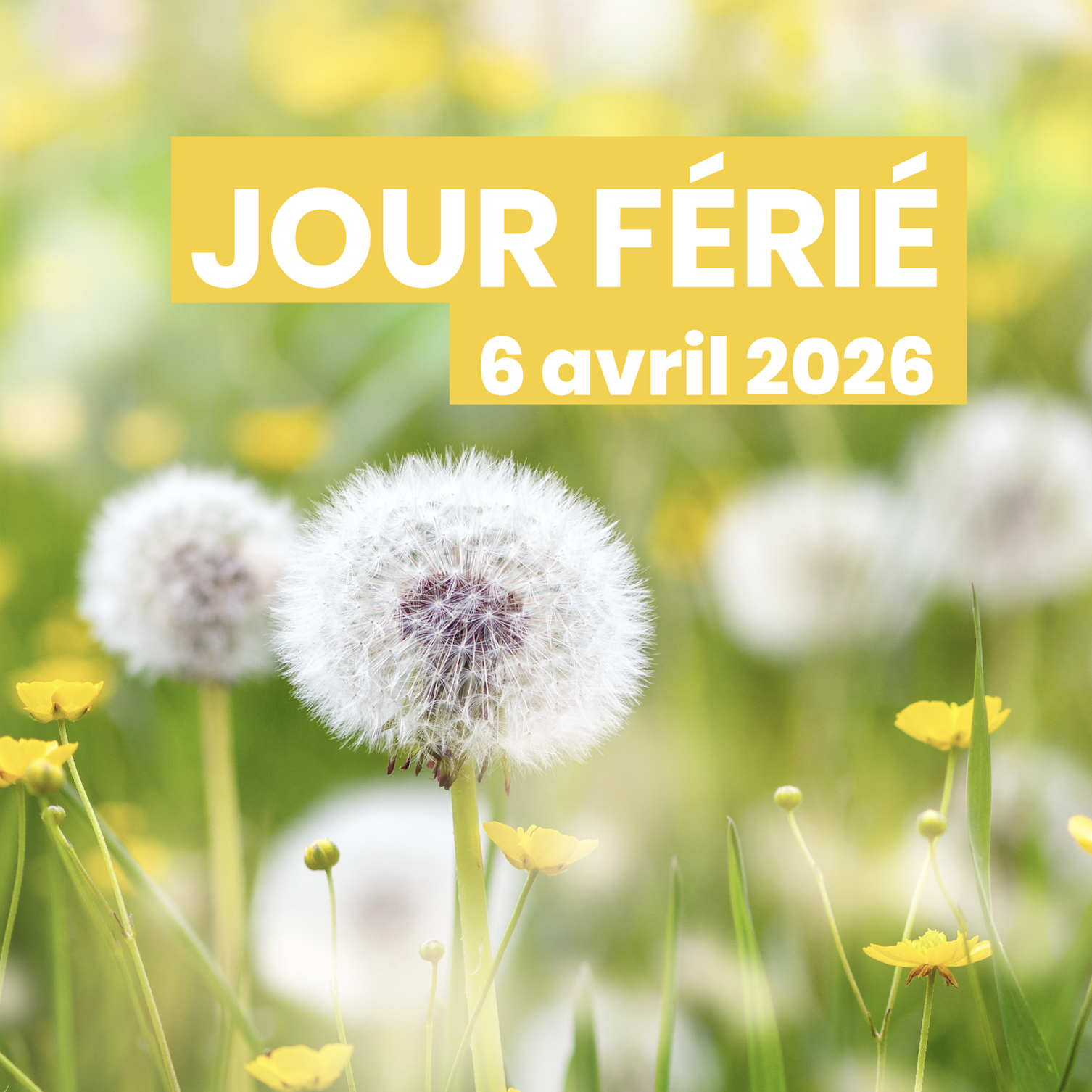 Jour Férié – Lundi 6 avril 2026