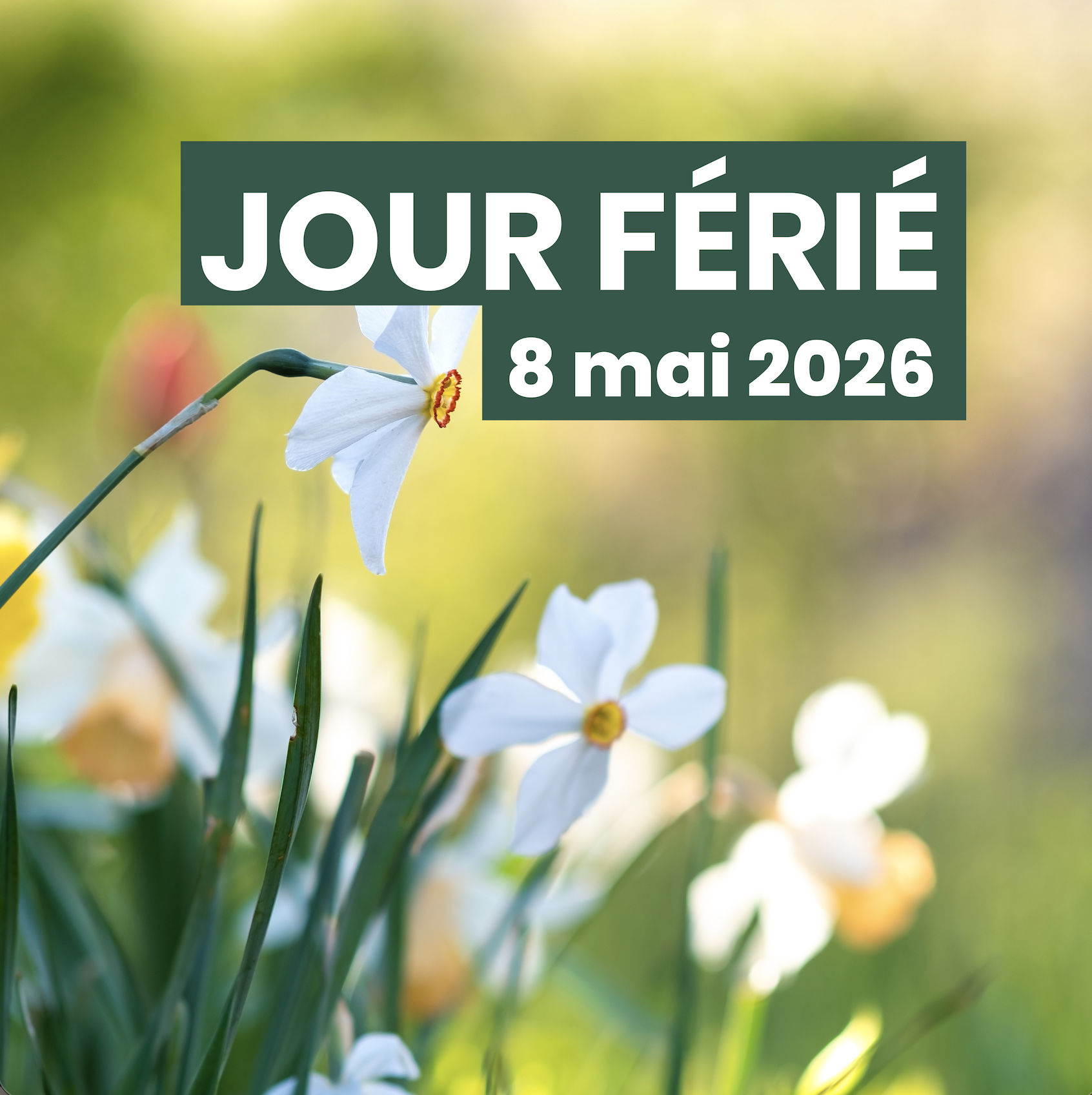 Jour férié – 8 mai