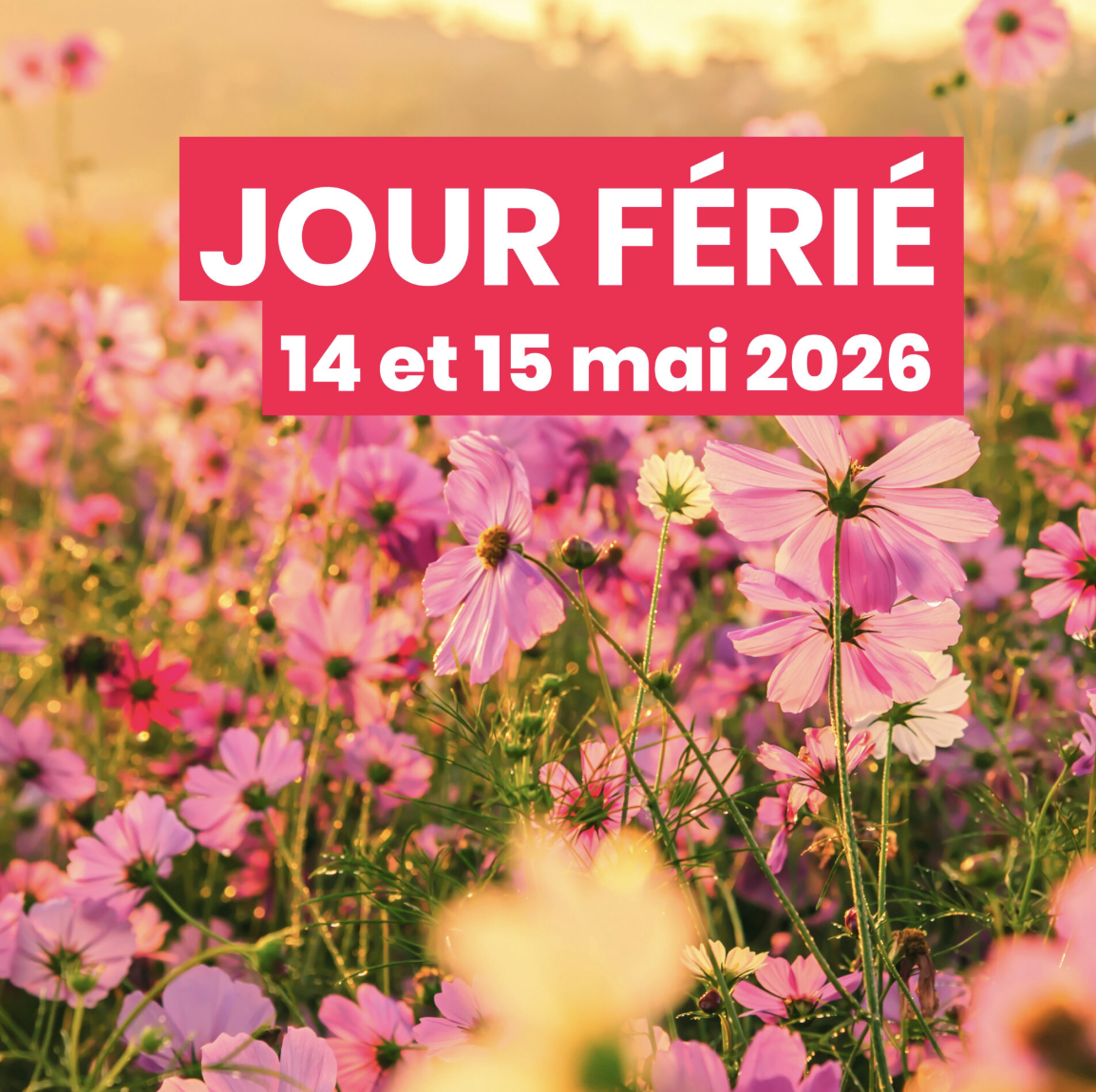 Jour férié – 14 mai