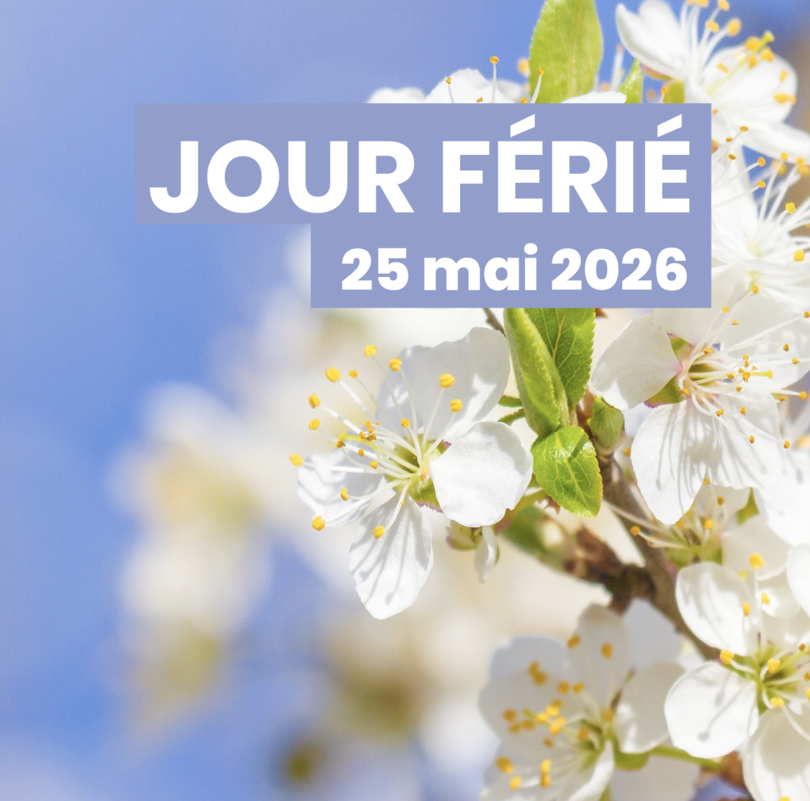 Jour férié – 25 mai 2026
